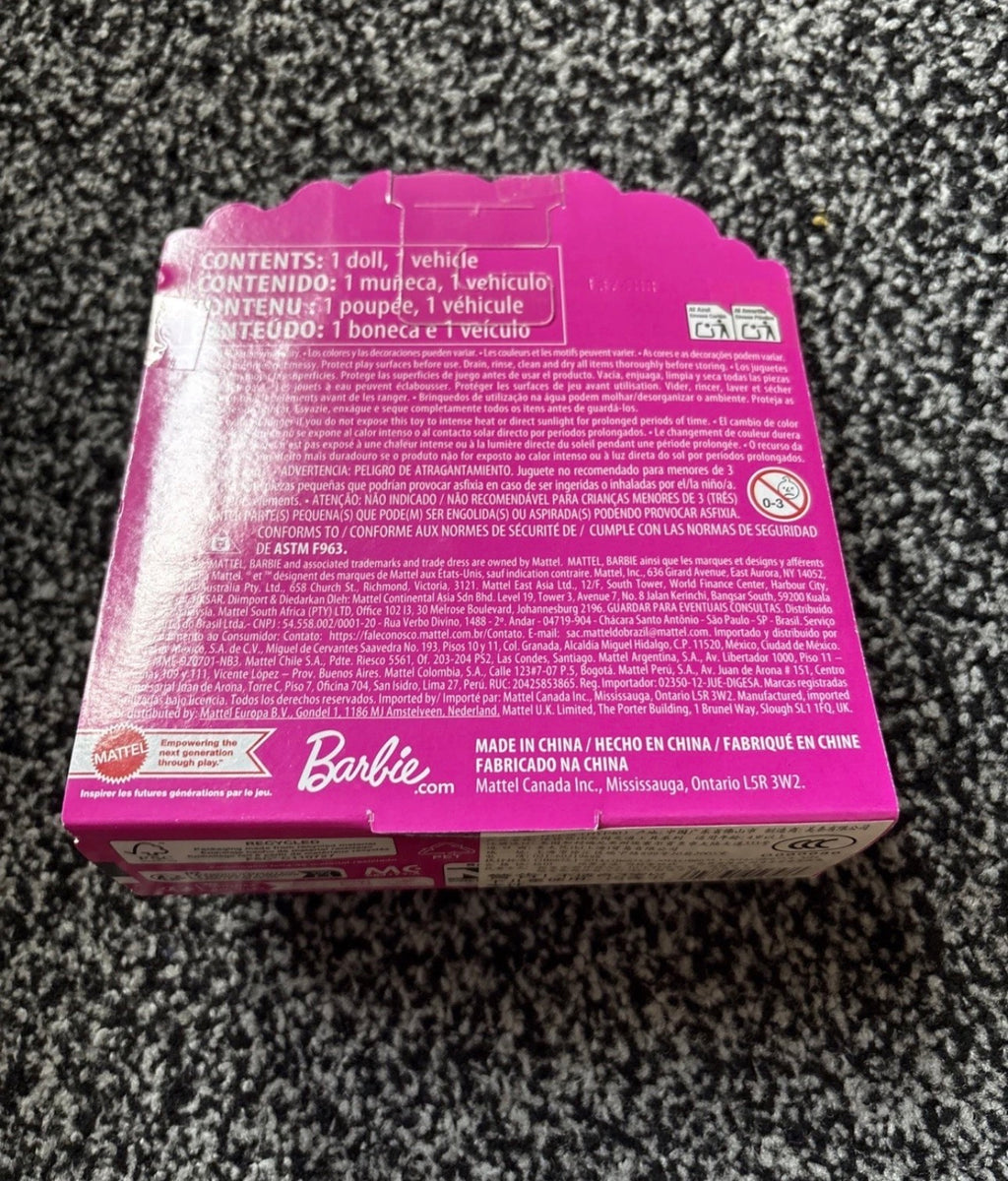 Mini Barbie Land Doll and Airplane Mattel