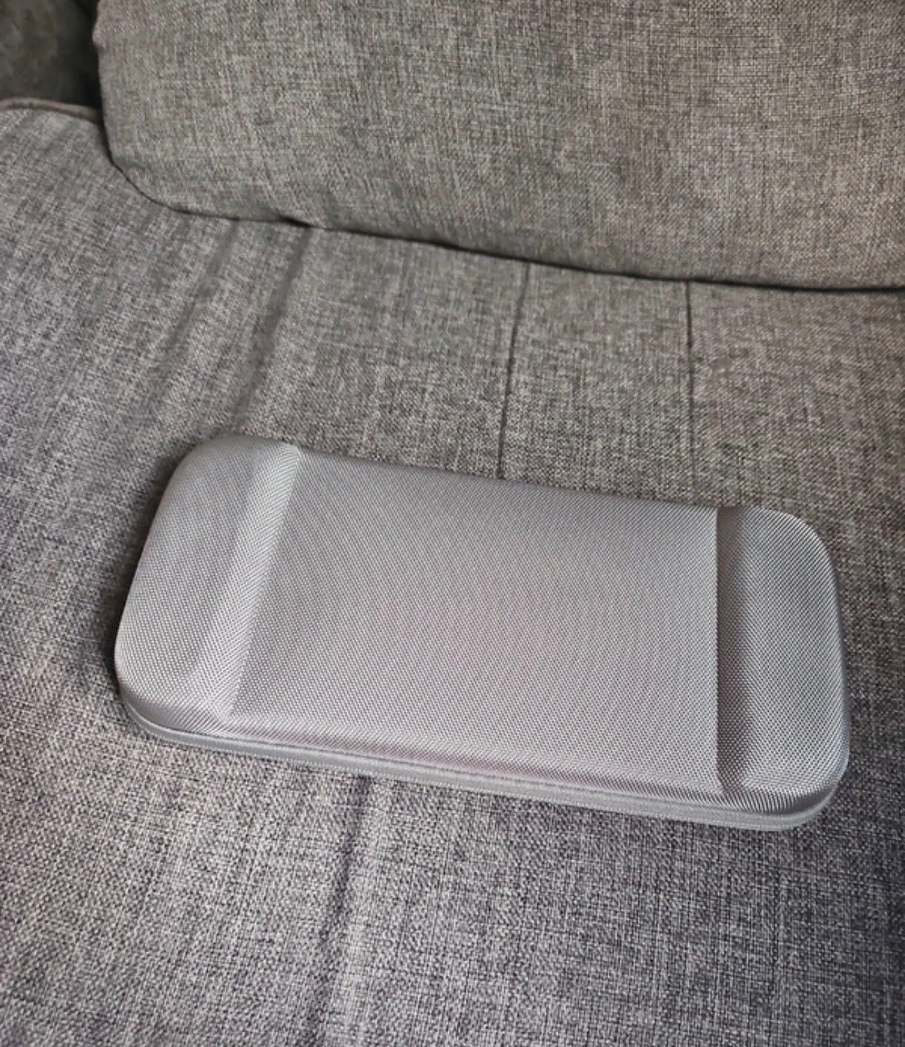 Quaggy Slim Carry Case for Nintendo Switch  2
